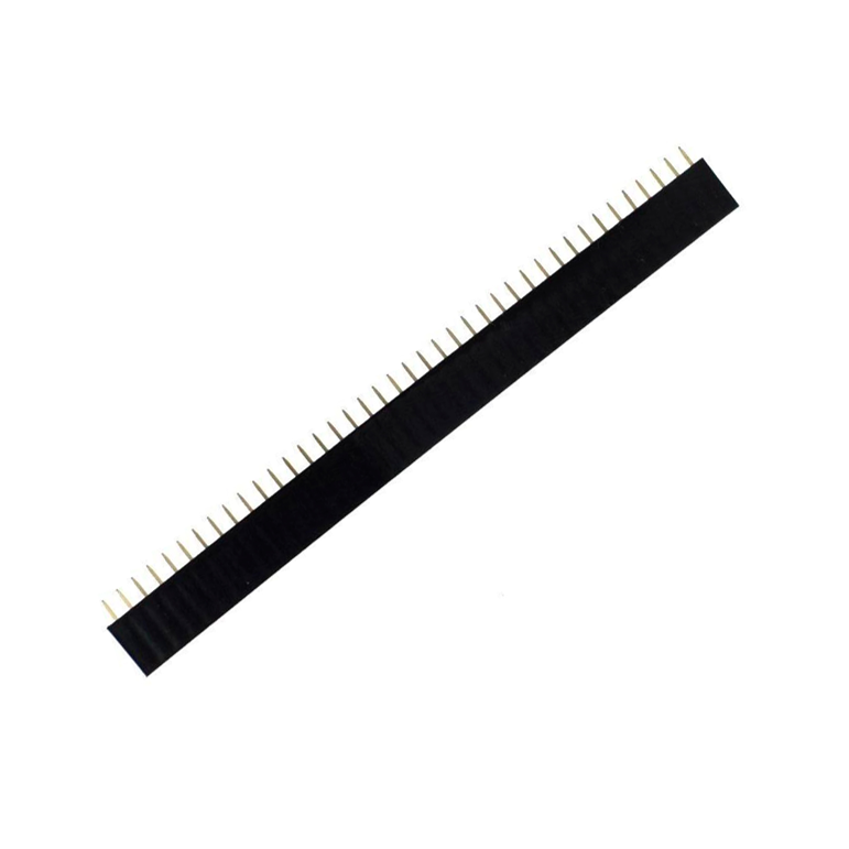 40p Conector header hembra 40 pines